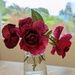Three Rose Bushes by kathybc