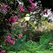 The brilliants splashes of color from crape myrtles by congaree