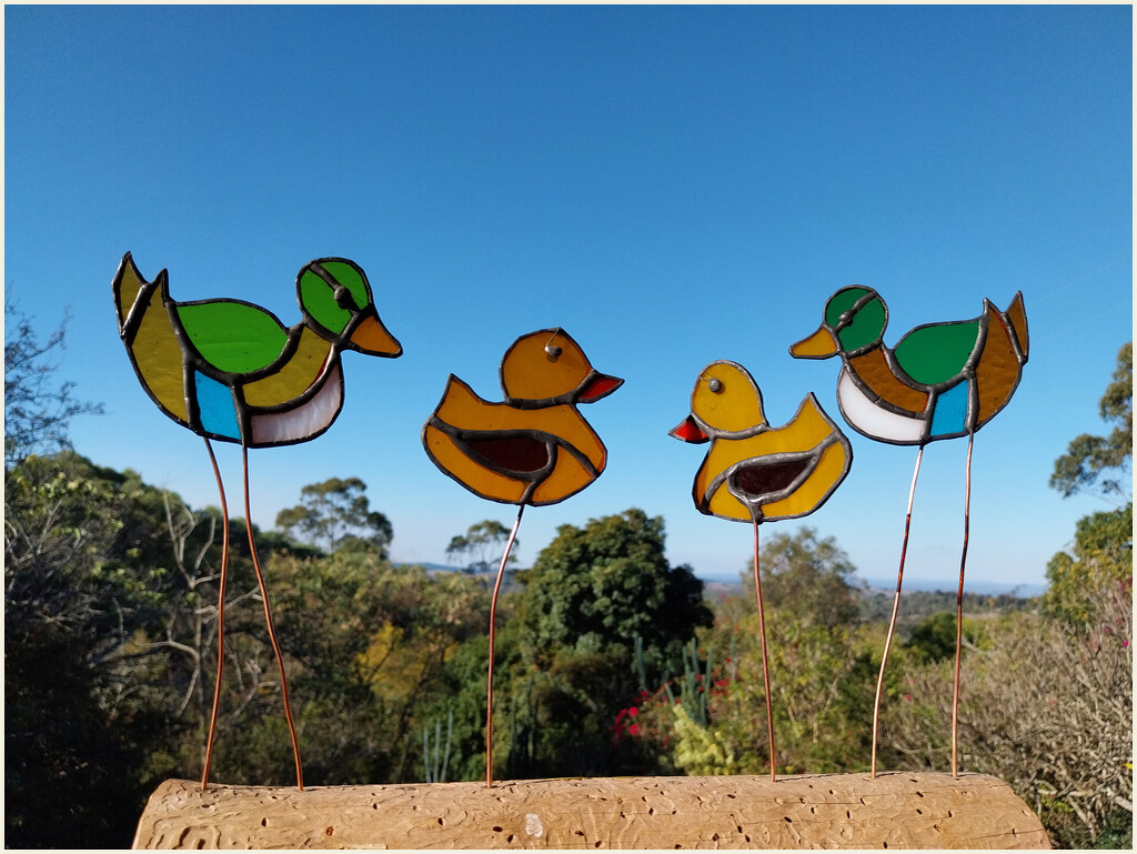 Ducks and duckling (glass) by kerenmcsweeney