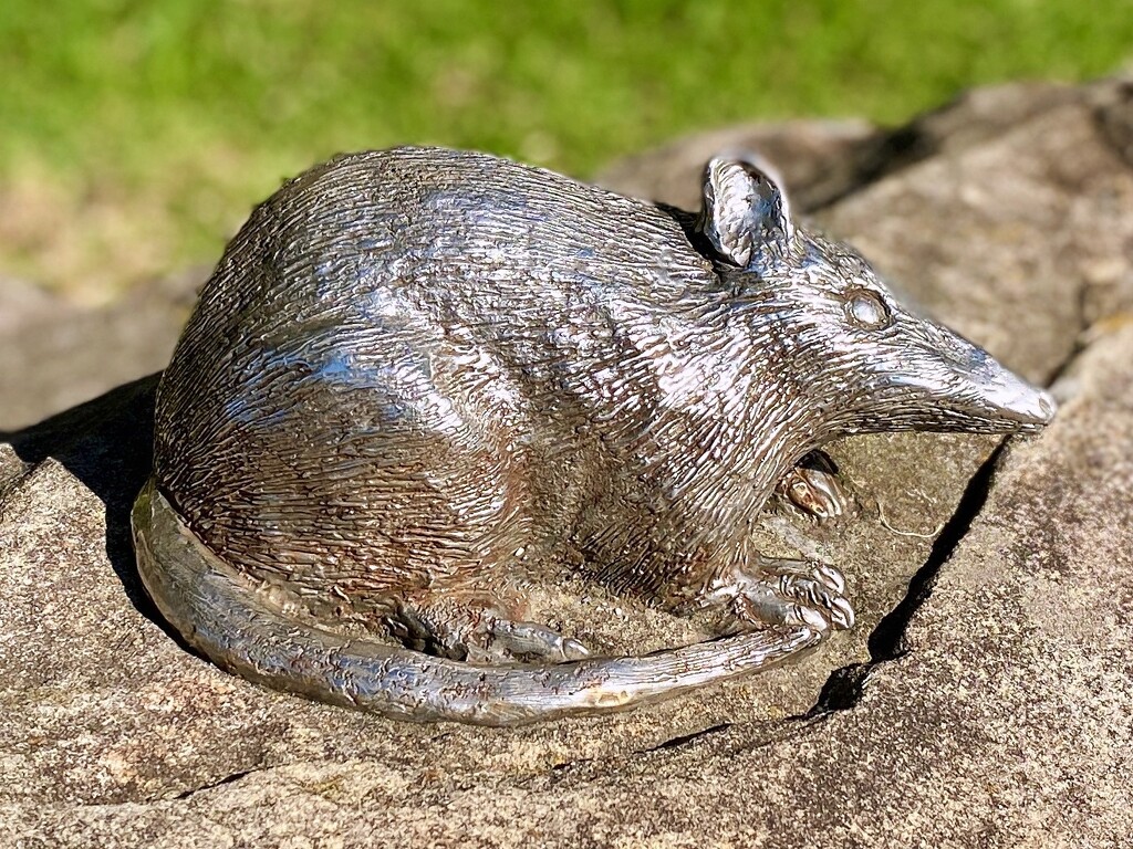 Long nose bandicoot metal casting (about 40cm long). On coastal walk Manly.  by johnfalconer