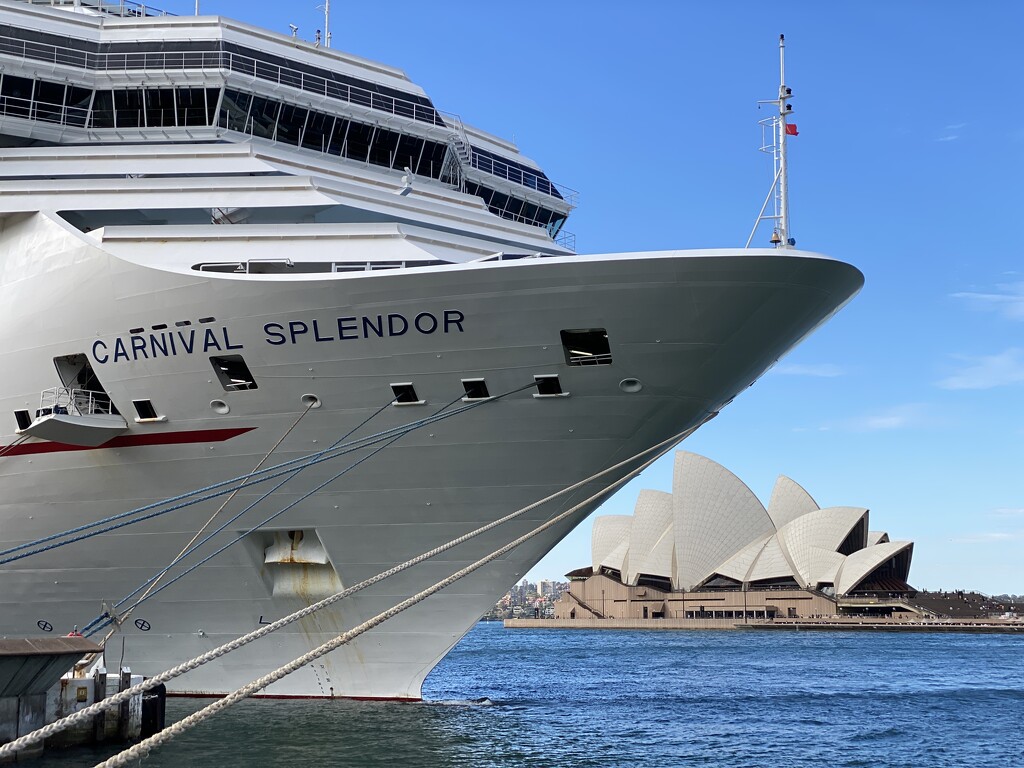 Cruise ship dwarfing the Sydney Opera House.  by johnfalconer