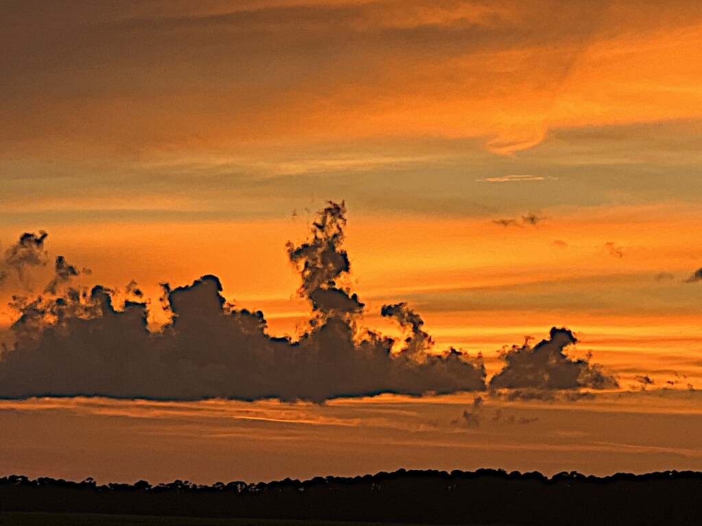 I see a genie in the clouds at sunset  by congaree