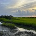 Marsh at low tide near sunset by congaree