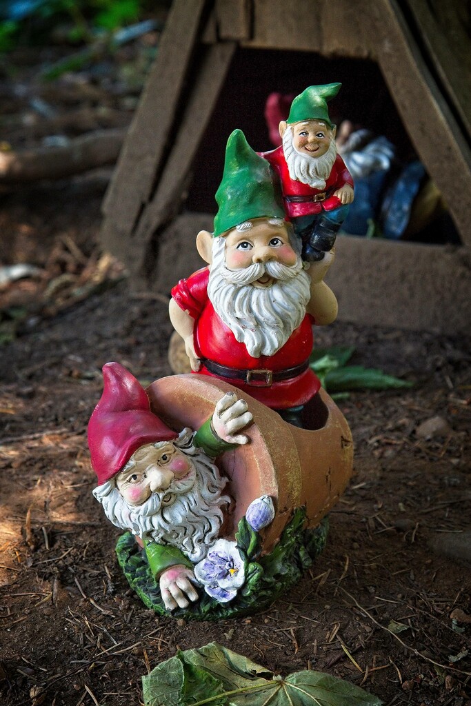 Gnomes by jnr