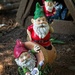 Gnomes by jnr