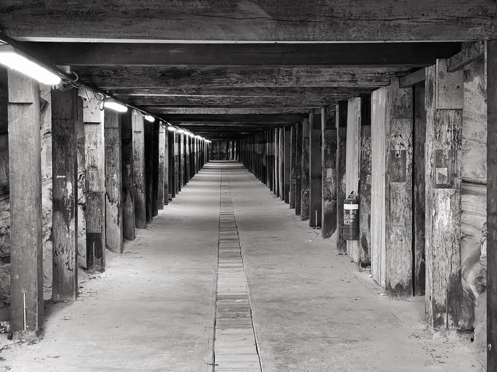 The “Dog Leg Tunnel” was built 100 years ago through the middle of Cockatoo Island in Sydney Harbour. During WW2 munitions were stored here.   by johnfalconer