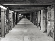 29th Jul 2023 - The “Dog Leg Tunnel” was built 100 years ago through the middle of Cockatoo Island in Sydney Harbour. During WW2 munitions were stored here.  
