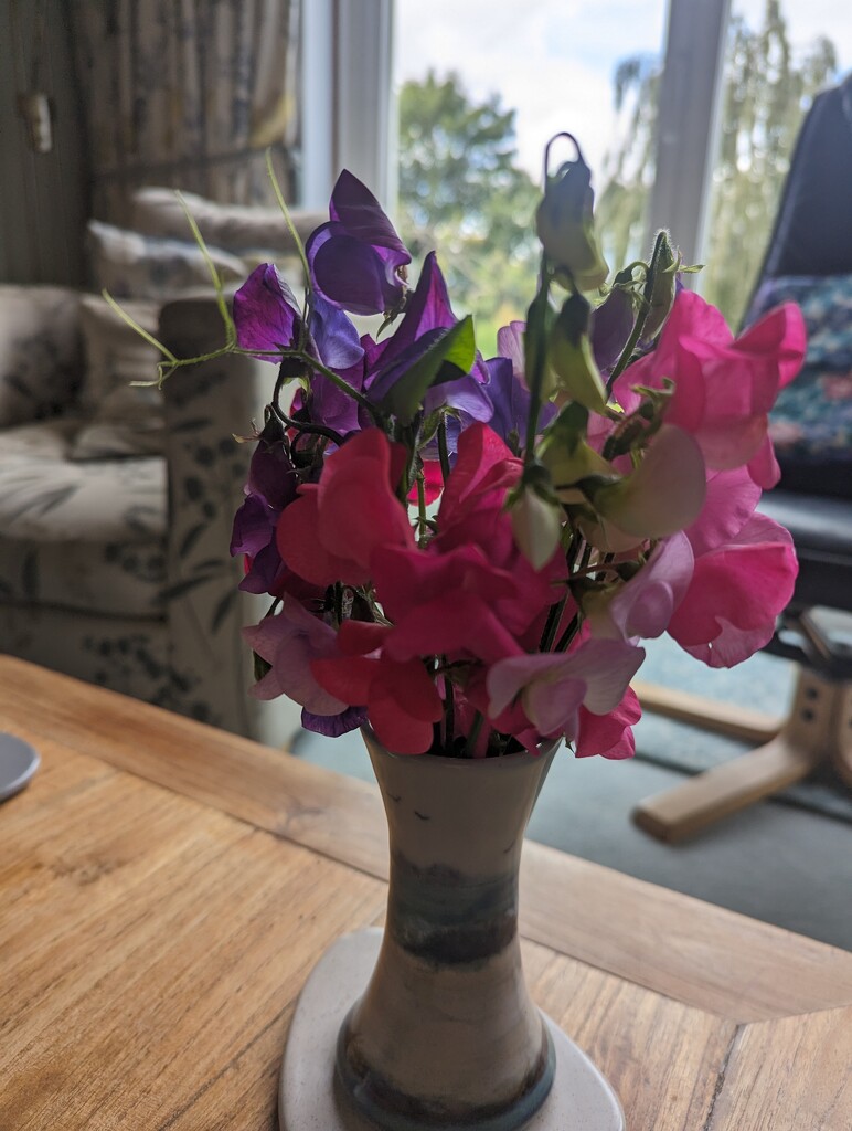 Sweet Peas from the garden  by sarah19