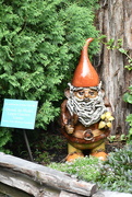 31st Jul 2023 - To Gnome Me is to Love Me!