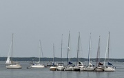 31st Jul 2023 - Windjammers Sail Club moored  at Nicolet Bay