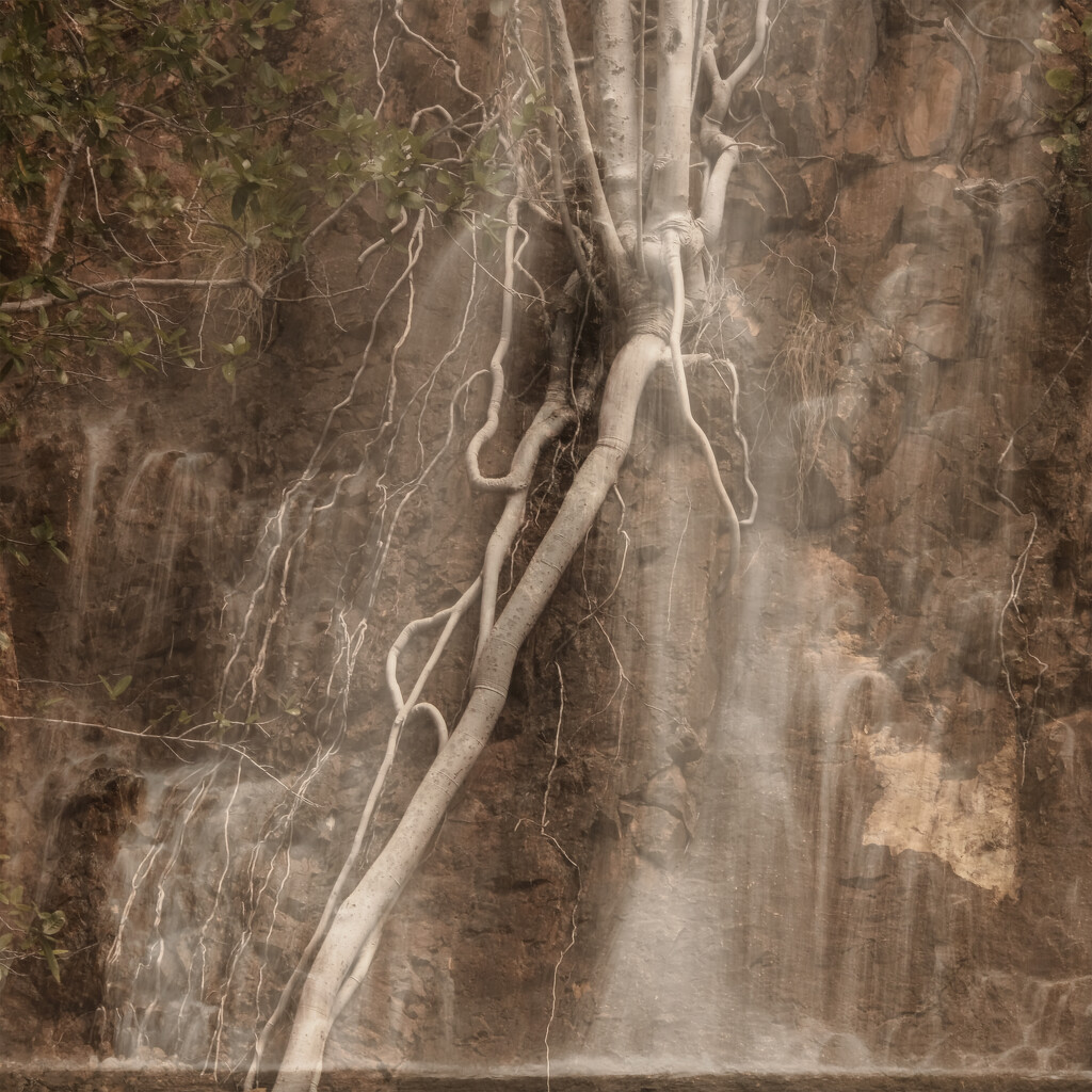 Another waterfall by dkbarnett