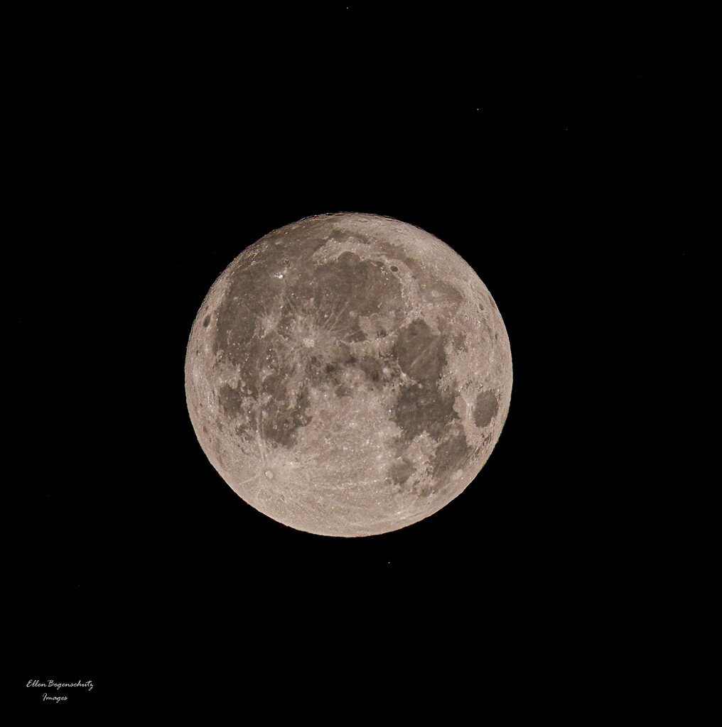 Super Moon August 1 by theredcamera