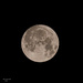 Super Moon August 1 by theredcamera