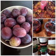 1st Aug 2023 - Confiture de prunes