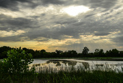 31st Jul 2023 - Baker Wetlands 7-31-23
