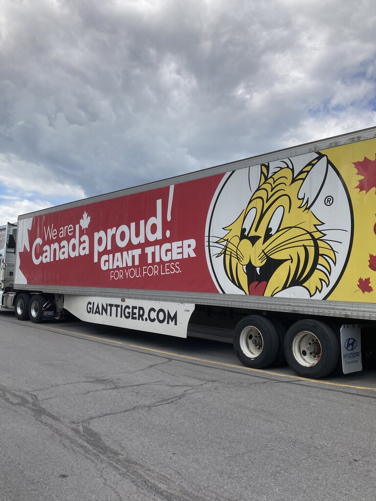 Giant Tiger Truck by spanishliz