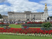 1st Aug 2023 - Buckingham Palace 