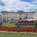 Buckingham Palace  by jeremyccc
