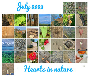 1st Aug 2023 - Hearts in nature. 