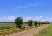 2nd Aug 2023 - Windy landscape.