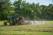 23rd Jul 2023 - Cutting hay...