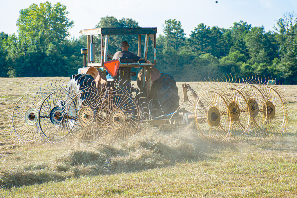 Raking the hay... by thewatersphotos
