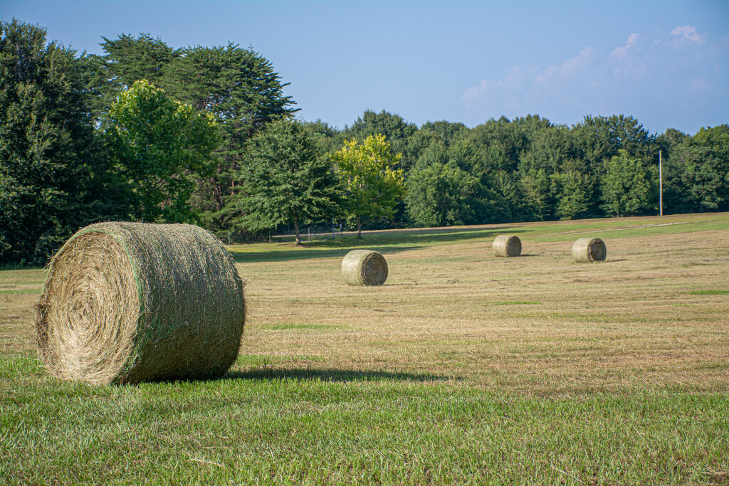 Hay bales in the field... by thewatersphotos