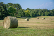 27th Jul 2023 - Hay bales in the field...