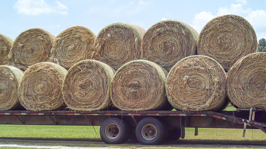A load of hay... by thewatersphotos
