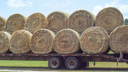 30th Jul 2023 - A load of hay...