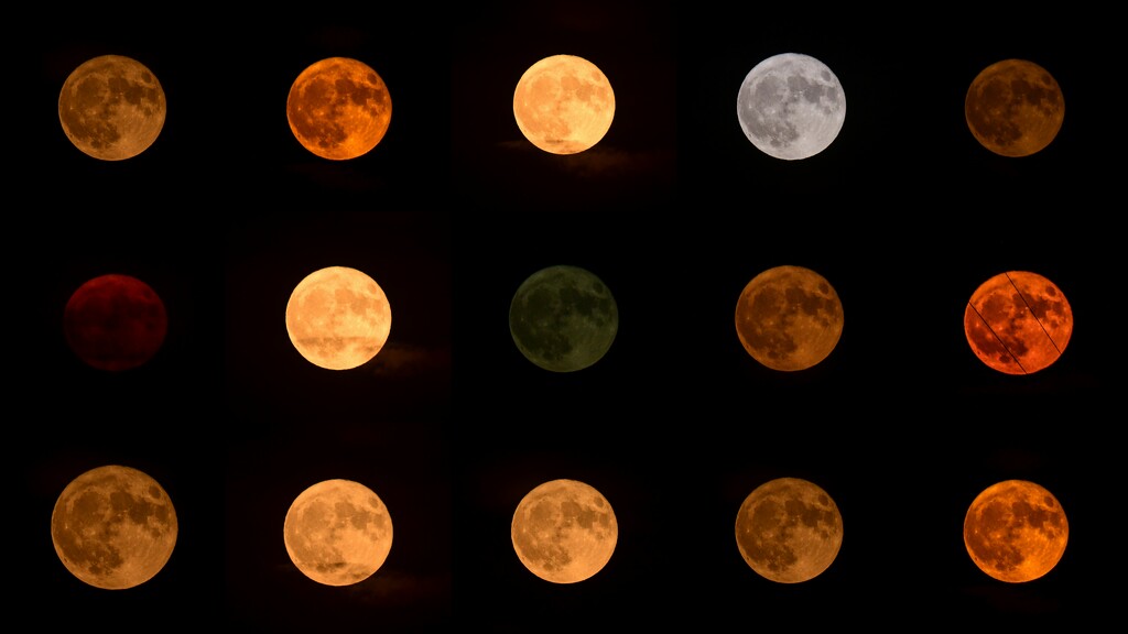 2023-8-1 Full Sturgeon Super Moon Collage by kareenking