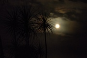 2nd Aug 2023 - A fuzzy moon