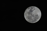 2nd Aug 2023 - Supermoon