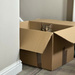Cat in a Box by 365projectmaxine