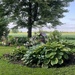 Gardening on the Farm by sunnygreenwood