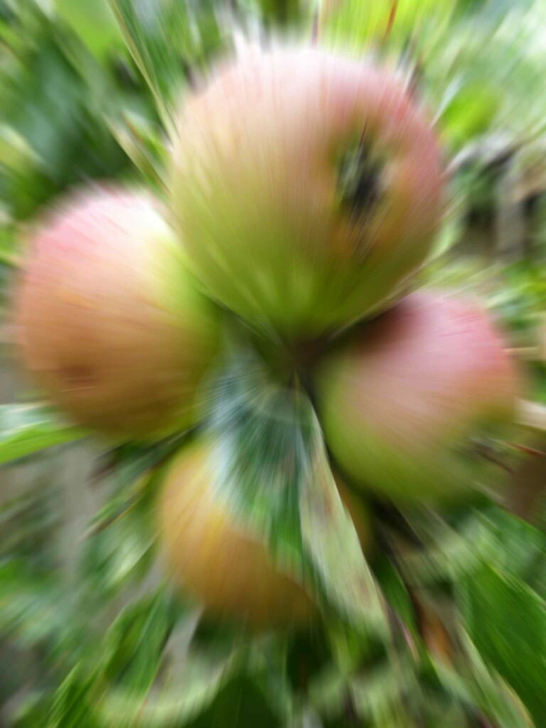 Abstract Apple by 30pics4jackiesdiamond
