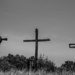 Road-side crosses by darchibald
