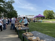 29th Jul 2023 - Iris Sale at the KSU Gardens