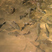 Fish at the swimming hole by dkbarnett