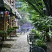 Alley @ DiCarlo's with a slight mist by ggshearron