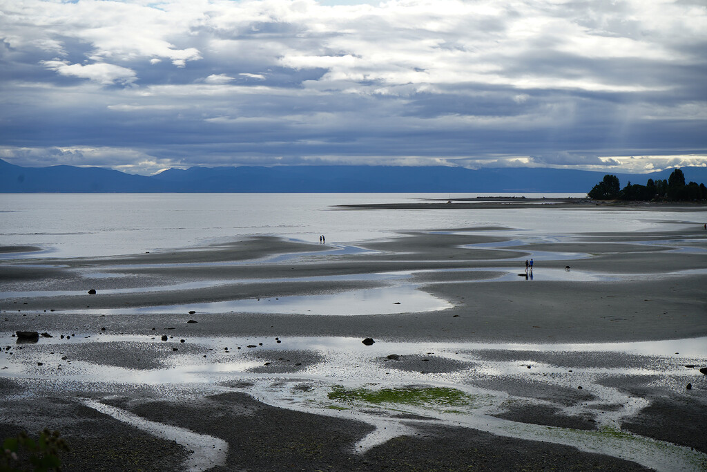 Low Tide by cdcook48