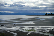 2nd Aug 2023 - Low Tide