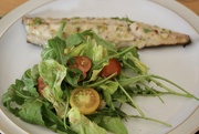 3rd Aug 2023 - Line-caught Mackerel with Garden Salad