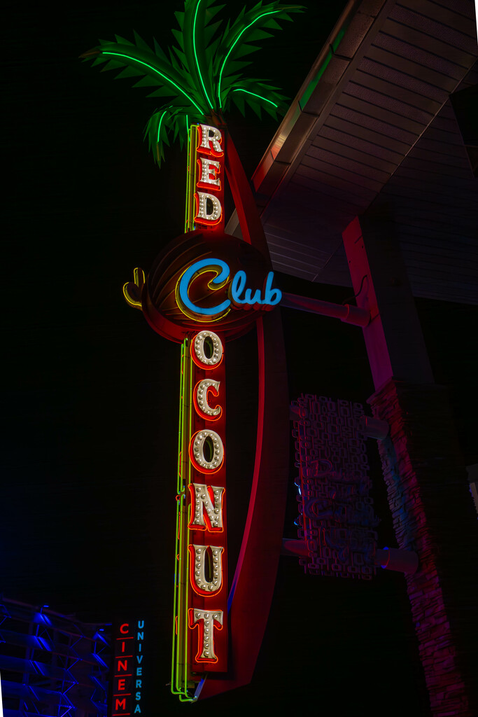 Night Life - Neon sign by frodob