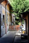 3rd Aug 2023 - The inner courtyard of the house...