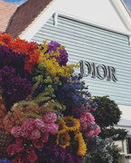 2nd Aug 2023 - Flowers and Dior