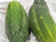 3rd Aug 2023 - Cucumbers in Office