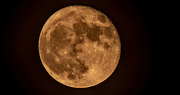 3rd Aug 2023 - Last Night's Moon!