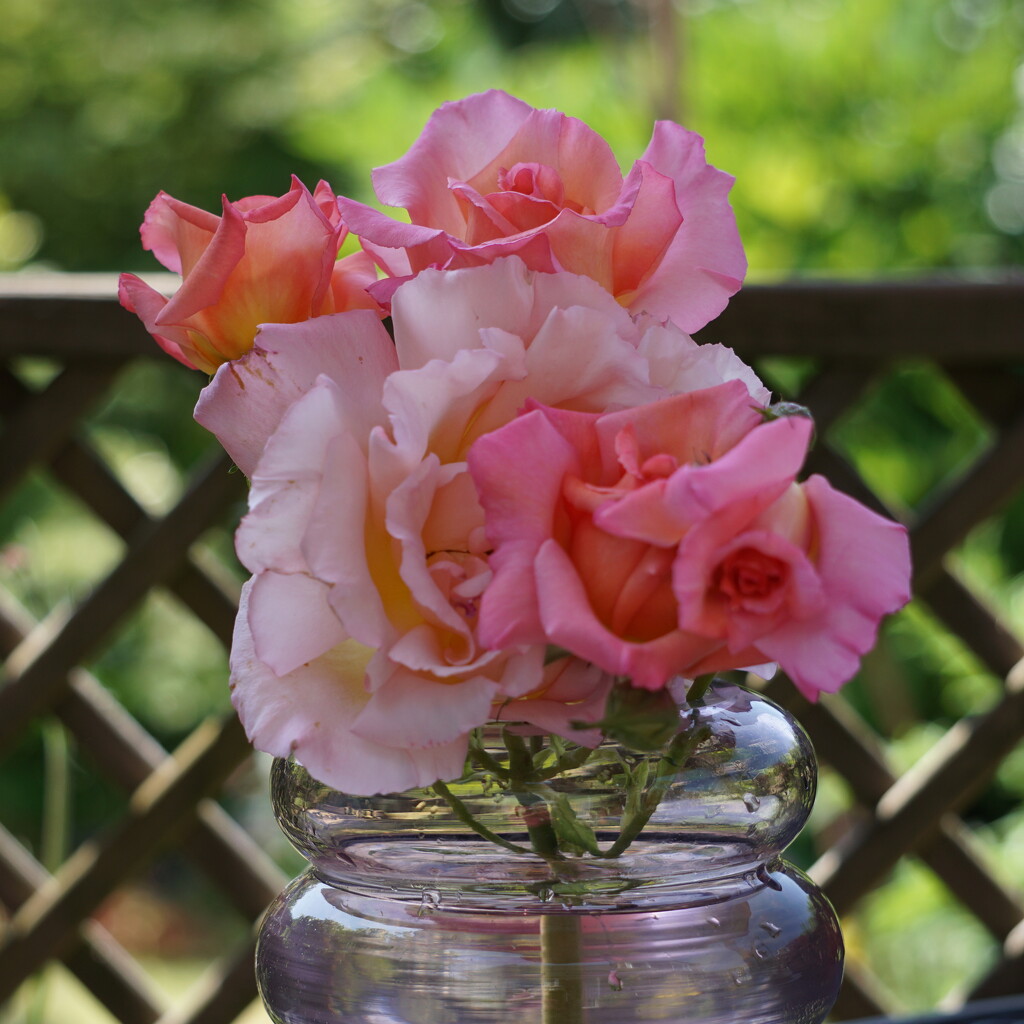 roses in a vase by quietpurplehaze