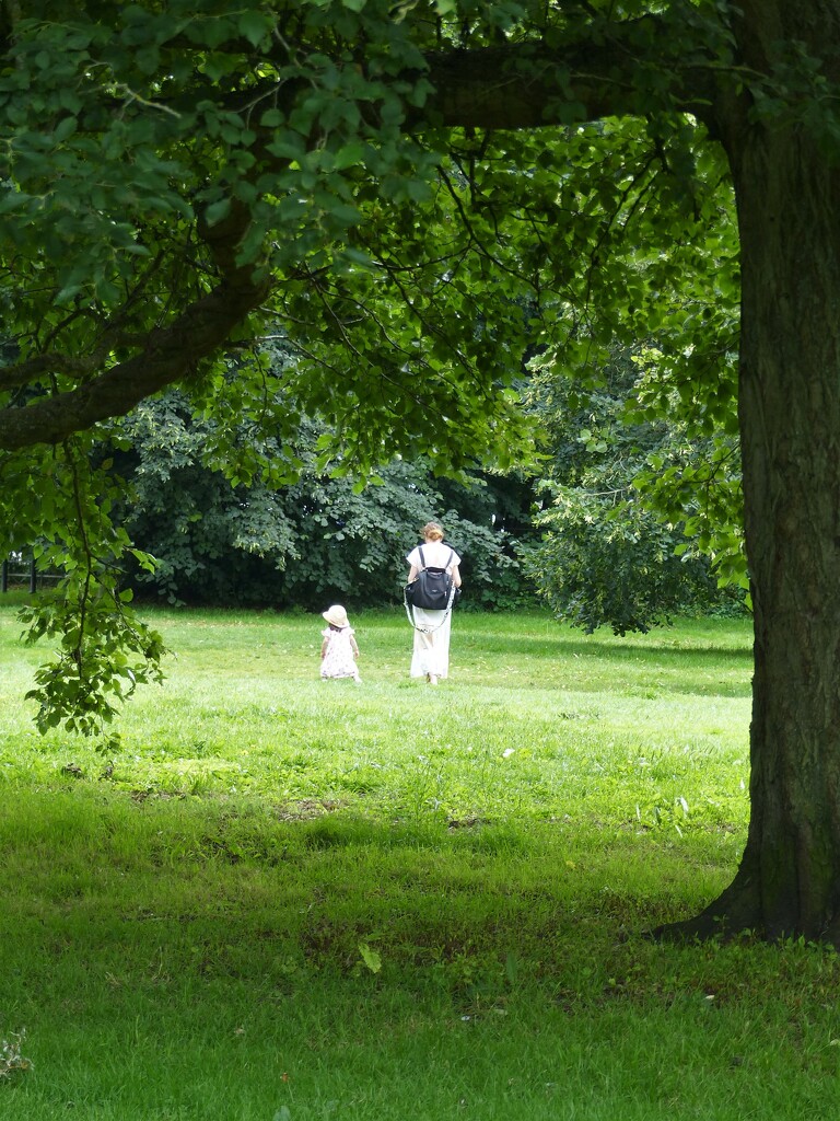 Walk in the park  by jokristina